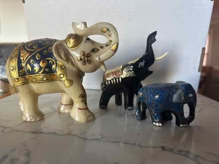Photo of free Elephants from India (Rogers Park) #1