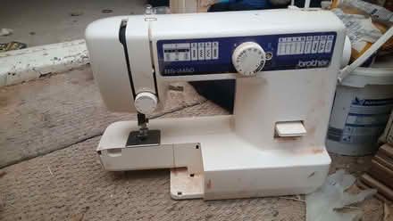 Photo of free New Greens AL3) #1