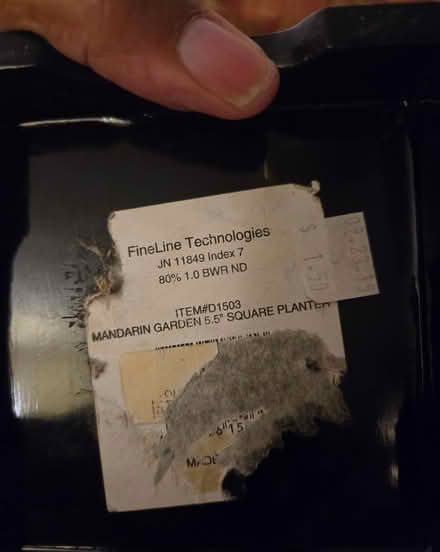 Photo of free Mini garden planter (Uphams Corner dorchester) #2