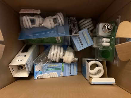 Photo of free CFL light bulbs (Plymouth) #1