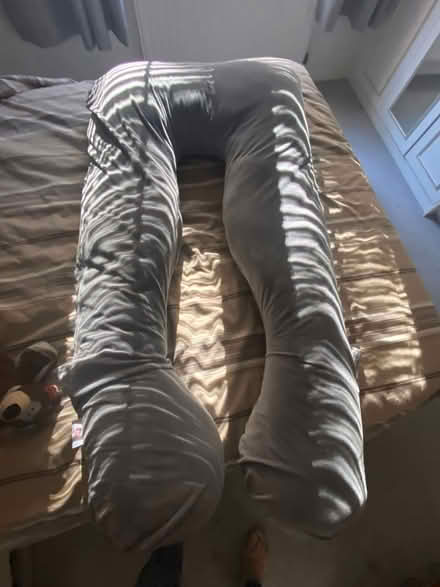 Photo of free Queen Rose large body pillow (Colchester) #2