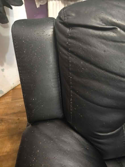 Photo of free Electric recliner sofas (Woodmancote GL11) #4