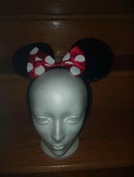 Photo of free Minnie Mouse Costume Shirt (Richmond Hill) #2