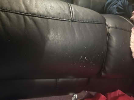 Photo of free Electric recliner sofas (Woodmancote GL11) #2