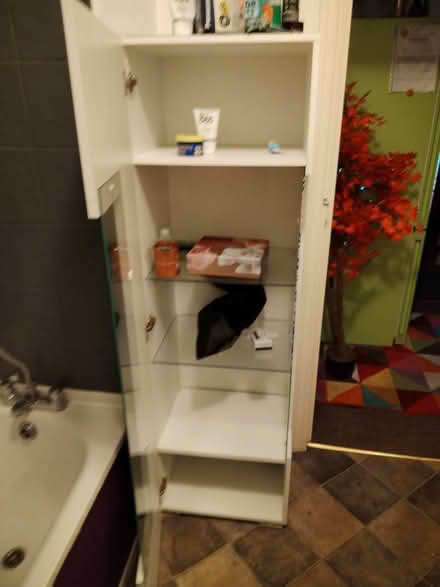 Photo of free Cupboard (turnpike lane N8) #1