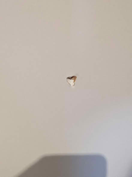 Photo of free Bed (Ikea Slakt single) (Bracknell Forest RG12) #3