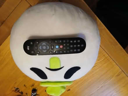 Photo of free Big soft toy thing ! (Parkhead EH11) #1