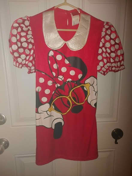 Photo of free Minnie Mouse Costume Shirt (Richmond Hill) #1