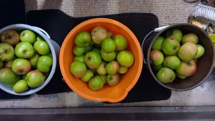Photo of free Apples (Penrith CA11) #1