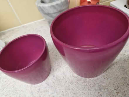 Photo of free Plant pots (Hanworth RG12) #1