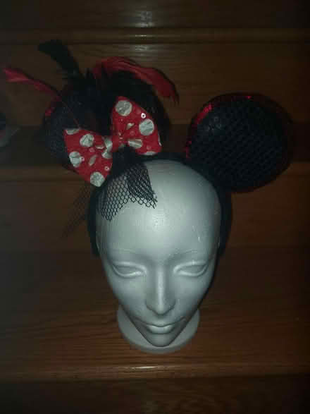 Photo of free Minnie Mouse Costume Shirt (Richmond Hill) #3