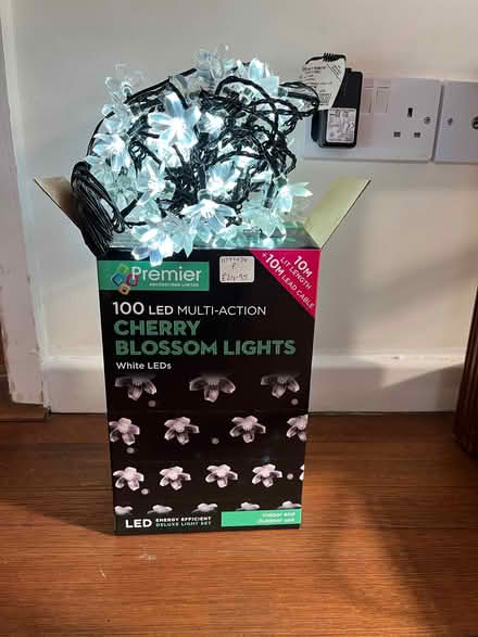 Photo of free Indoor/outdoor LED cherry blossom lights (Kemptown BN2) #1