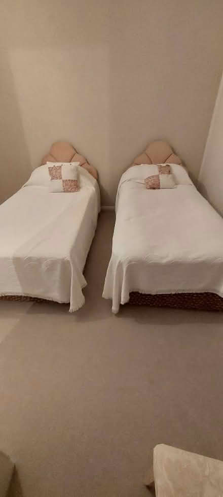 Photo of free 2 single beds (Adeyfield HP2) #1