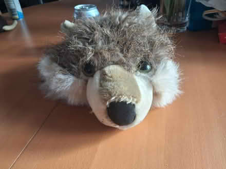 Photo of free Wolf head hat (Streatham SW16) #1