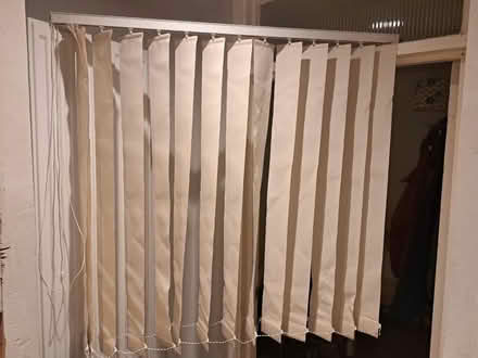 Photo of free 2x window blinds (Heeley Green S14) #3