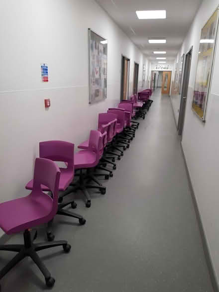 Photo of free purple plastic hairs on wheels (St.Albans AL1) #1