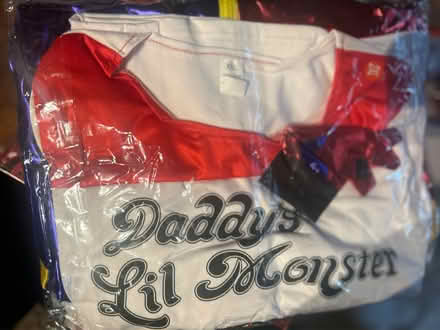 Photo of free Harlequin costume size 2xl (Carmarthen) #1