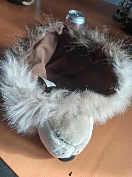 Photo of free Wolf head hat (Streatham SW16) #2