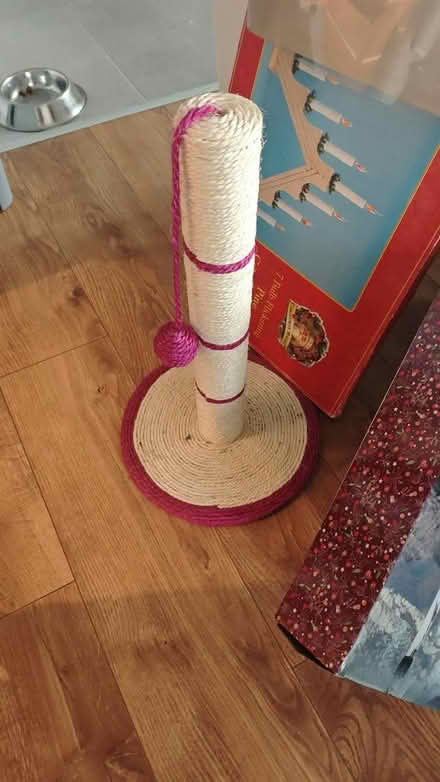 Photo of free Cat stuff (Kilternan) #2