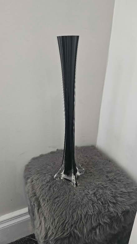 Photo of free Black glass vase (South shields NE33) #1