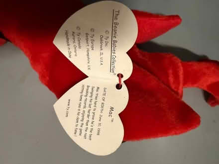 Photo of free TY Parrot with tags (Westbury BA13) #4