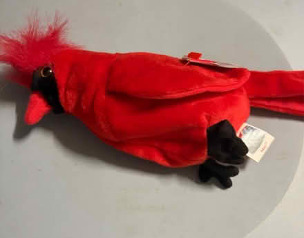 Photo of free TY Parrot with tags (Westbury BA13) #3