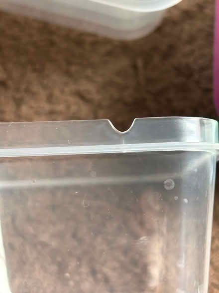 Photo of free Tiny tubs (Jennetts park RG12) #2