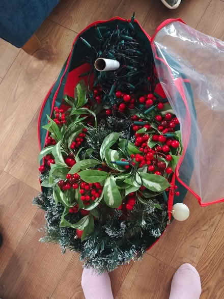 Photo of free Christmas decorations (Kilternan) #2