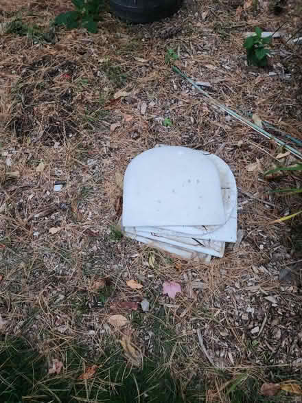 Photo of free Chair seats (Brookfield Connecticut) #3