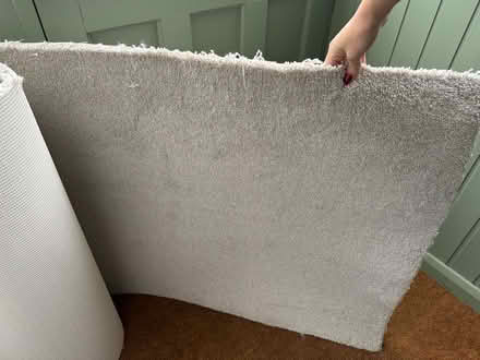 Photo of free New carpet offcut 80cm x 4m (Chelmsford CM2) #1