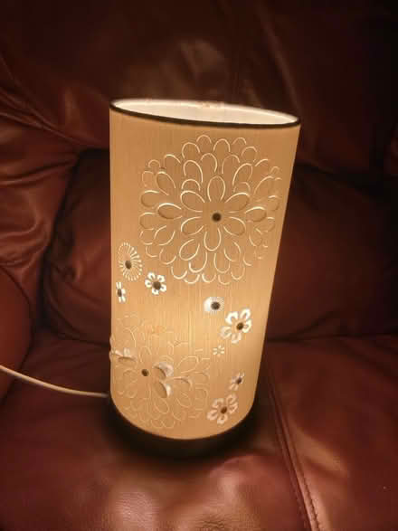 Photo of free Floral cut out lamp (Upton CH2) #2
