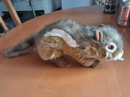 Photo of free Furry toy chipmunk (Streatham SW16) #1