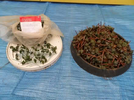 Photo of free Onduline fixings (Benson OX10) #1