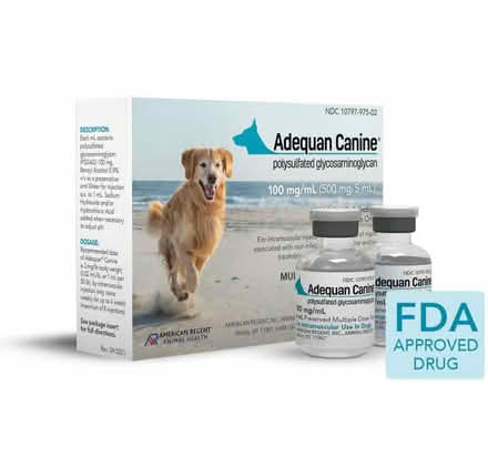 Photo of free 1 vial Adequan Canine (Snoqualmie) #1