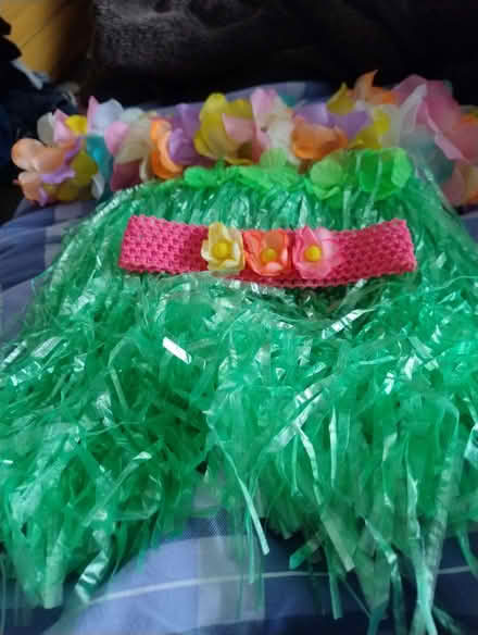 Photo of free Variety of kids dressing up costumes (Fishponds BS16) #1