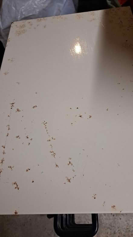 Photo of free Metal drawers (Clive Vale TN35) #2