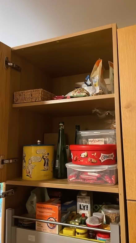 Photo of free Larder cupboard (Summertown OX2) #3