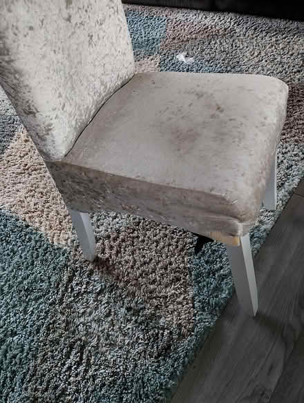 Photo of free Dining Chairs (GU12) #3