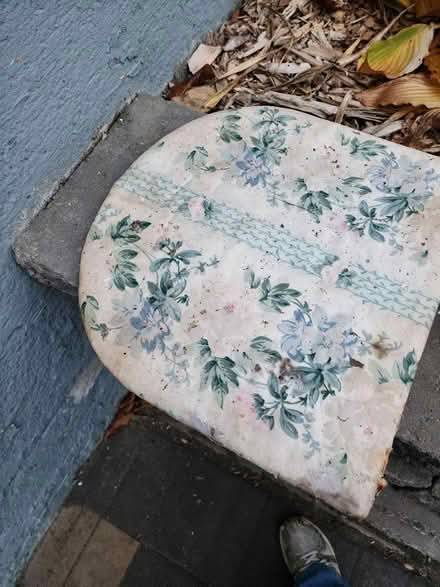 Photo of free Chair seats (Brookfield Connecticut) #1