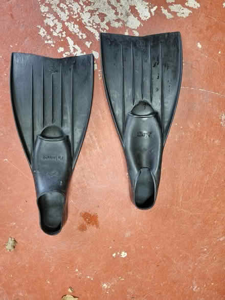 Photo of free Black fins or flippers (Near Lowther Gardens FY8) #1