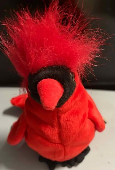 Photo of free TY Parrot with tags (Westbury BA13) #1