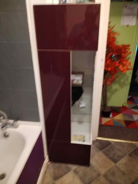 Photo of free Cupboard (turnpike lane N8) #2