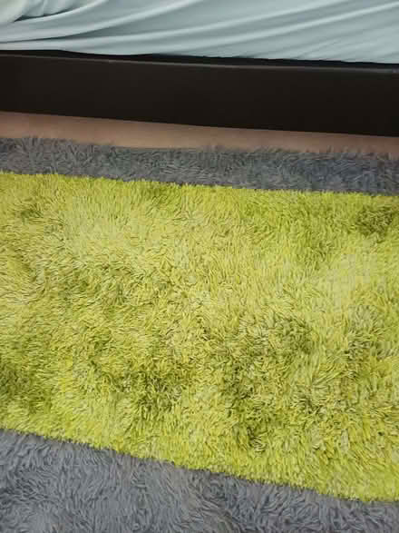 Photo of free RUG (Hollybush NP44) #1