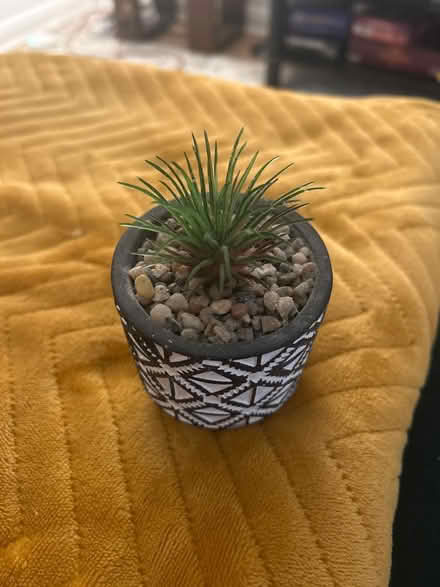 Photo of free Small fake plant (Park street st albans AL2) #1