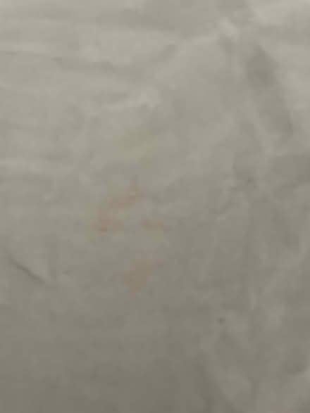 Photo of free Turquoise Light Tank Top (Sunset park) #4