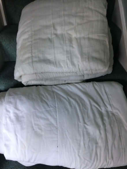 Photo of free Duvets (Oakridge RG21) #1