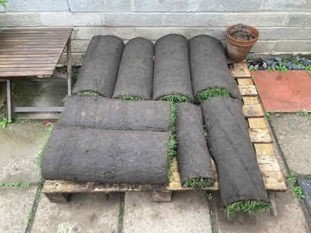 Photo of free Rolled turf (Cardiff CF14 1QE) #1