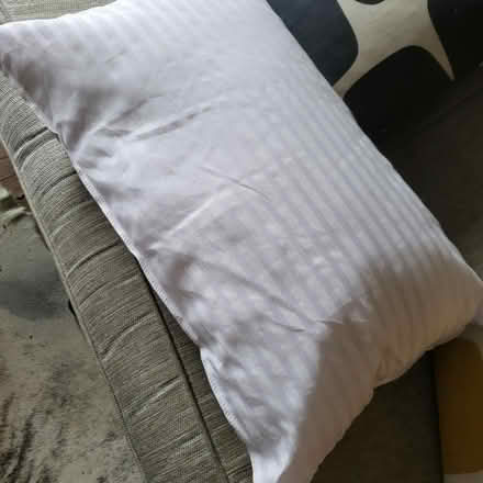 Photo of free New pillow (Oaklands nr Welwyn AL6) #1