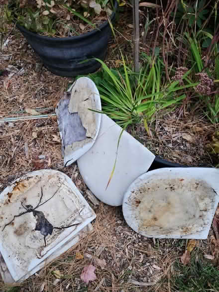 Photo of free Chair seats (Brookfield Connecticut) #4