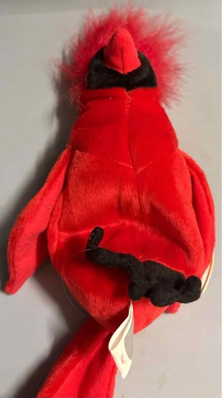 Photo of free TY Parrot with tags (Westbury BA13) #2